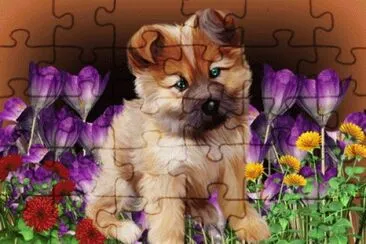 image jigsaw puzzle