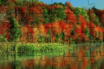 Paisatje jigsaw puzzle