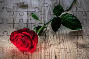 rose jigsaw puzzle