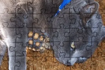 love jigsaw puzzle