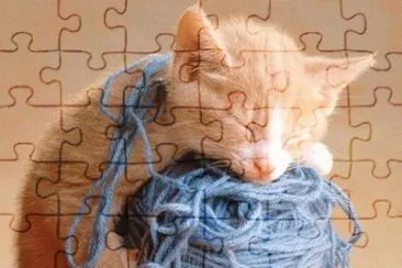 siesta jigsaw puzzle