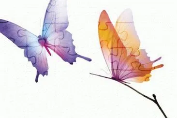 mariposas
