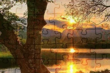sunshine jigsaw puzzle
