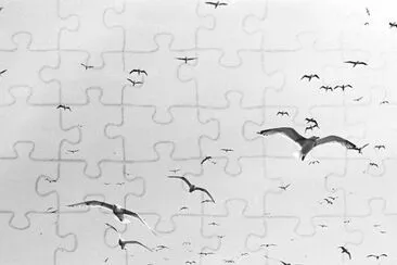 volando