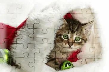 New Santa Cat jigsaw puzzle