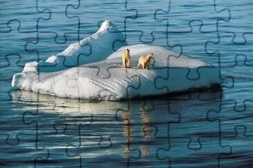 Icebears on the North Pole