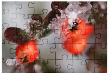 Rockmedlar jigsaw puzzle