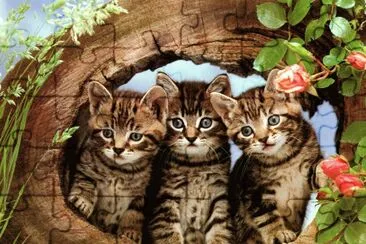 The three Musketiers jigsaw puzzle