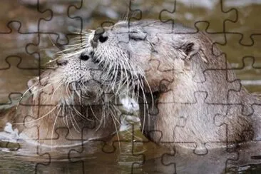 i love you jigsaw puzzle