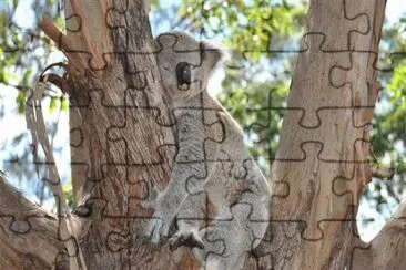 zzzzziesta jigsaw puzzle