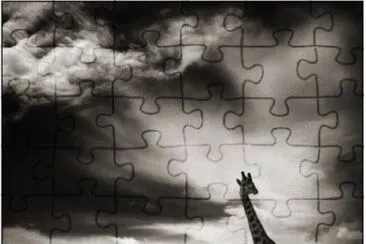 jirafa jigsaw puzzle