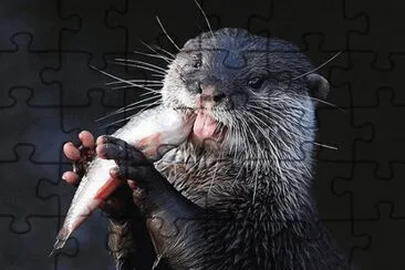 yomi yomi jigsaw puzzle