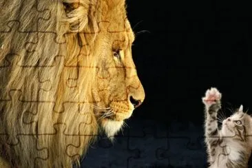 grrrrr