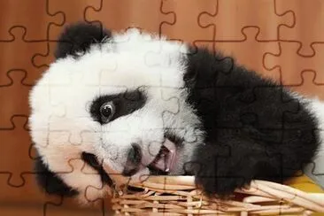 cosita jigsaw puzzle