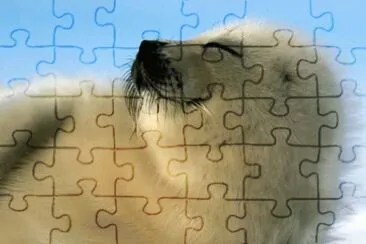 sonrisas jigsaw puzzle