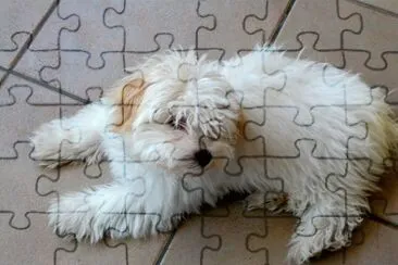ponyo jigsaw puzzle