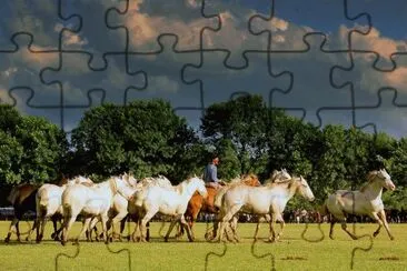 lugares jigsaw puzzle