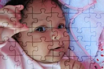  jigsaw puzzle
