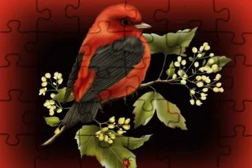 78b6 jigsaw puzzle