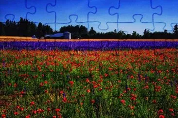Flowery Farm Field-Portland jigsaw puzzle