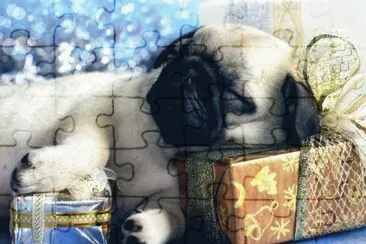 gosset jigsaw puzzle