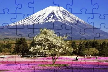 Mount Fuji area in Springtime  Japan