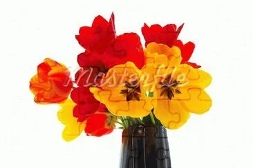 foto jigsaw puzzle