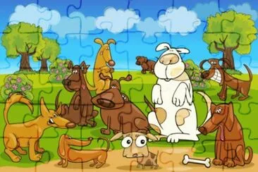 Dogs meeting