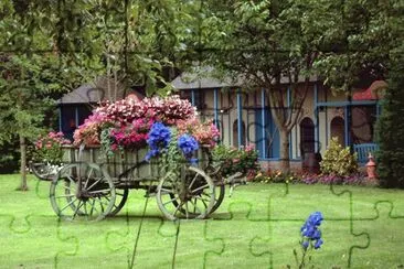 Grassfield with cart