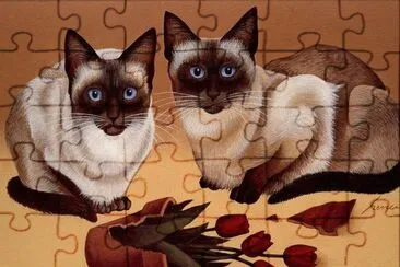 Gatos jigsaw puzzle