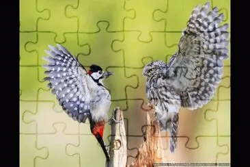 BÃšHO VS. CARPINTERO jigsaw puzzle