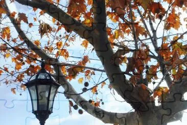 otoÃ±o