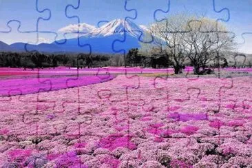  jigsaw puzzle