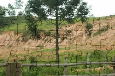 פאזל של Fazenda Potreiro