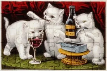 Gatos