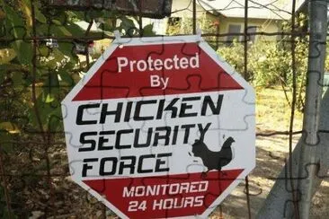 chiken