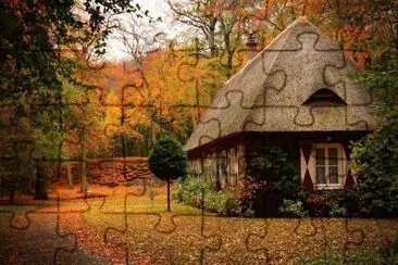 (290) jigsaw puzzle