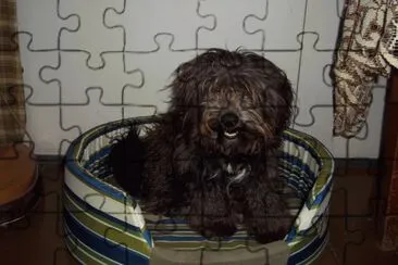 JALVAREZ jigsaw puzzle