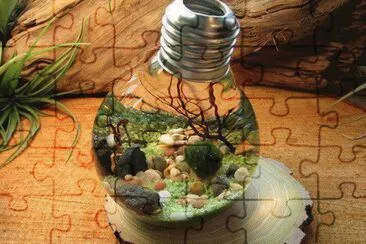 CREATIVIDAD