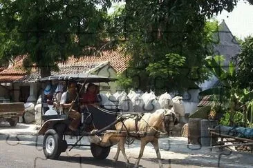 Dokar in Indonesia