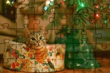 gatet jigsaw puzzle