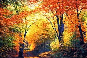 Entardecer lindo jigsaw puzzle
