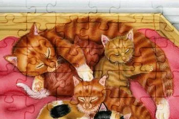 Gatos