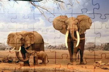 Elephants in Africa