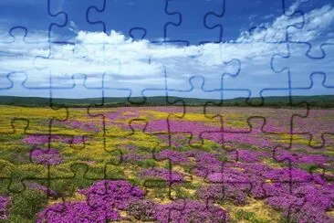 פאזל של Meadow Valley
