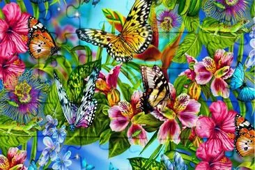 Butterfly scenery
