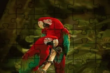 . jigsaw puzzle