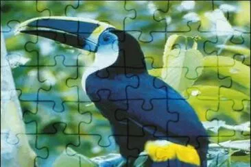 . jigsaw puzzle