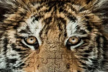 . jigsaw puzzle