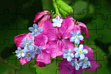 Spring Blossoms jigsaw puzzle